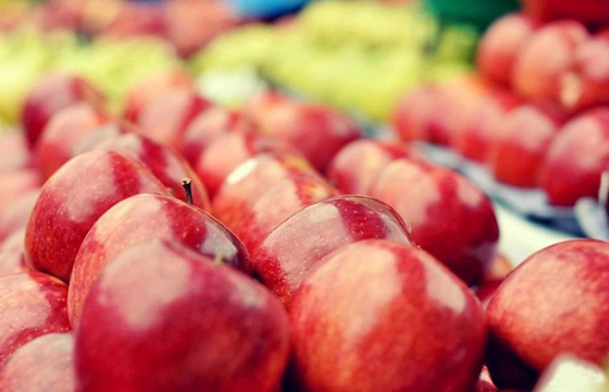 苹果出口